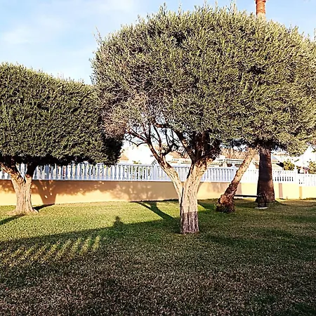 Holiday home Near The In Torrevieja, Aguas Nuevas Torrevieja